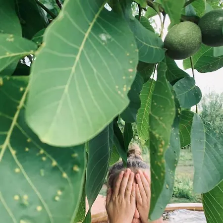 아파트 Fuegeskert