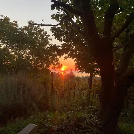 Fügéskert Appartement *