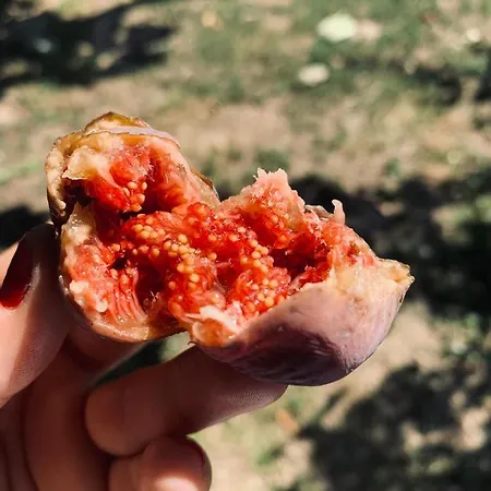 Fuegeskert 아파트