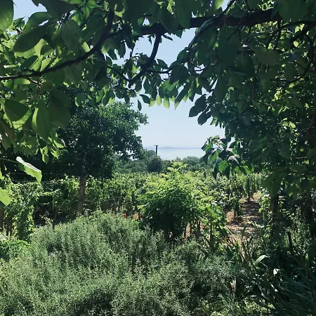 Fügéskert Appartement Balatongyörök