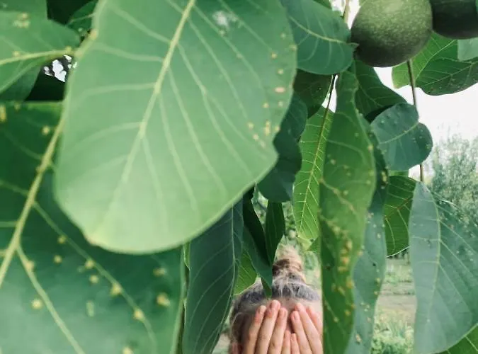 Appartement Fuegeskert
